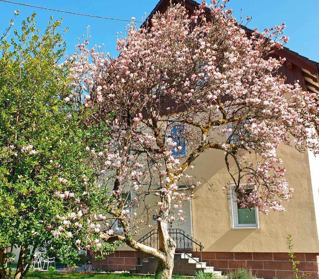 Liebevoll Gaestewohnungen Alpirsbach Exterior photo